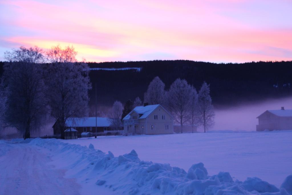 Bjoerkebo Camping Stöllet Esterno foto