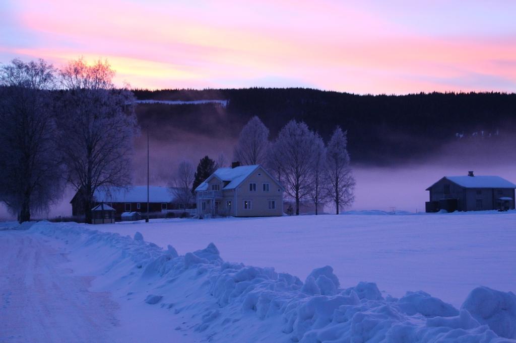 Bjoerkebo Camping Stöllet Esterno foto