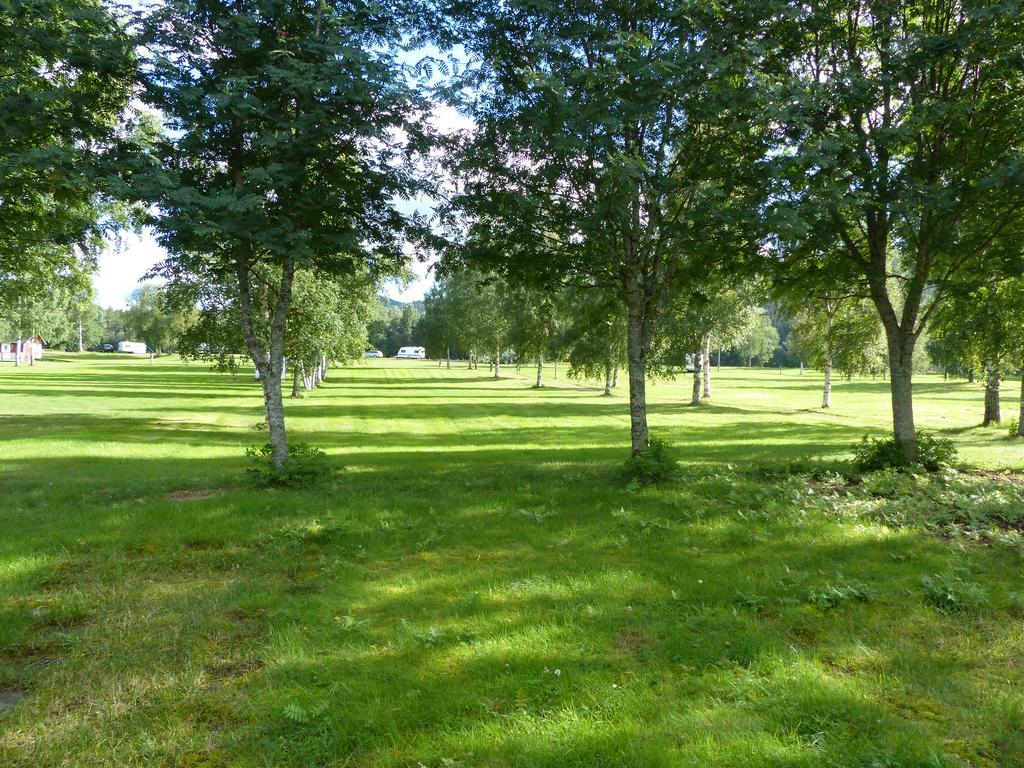Bjoerkebo Camping Stöllet Esterno foto