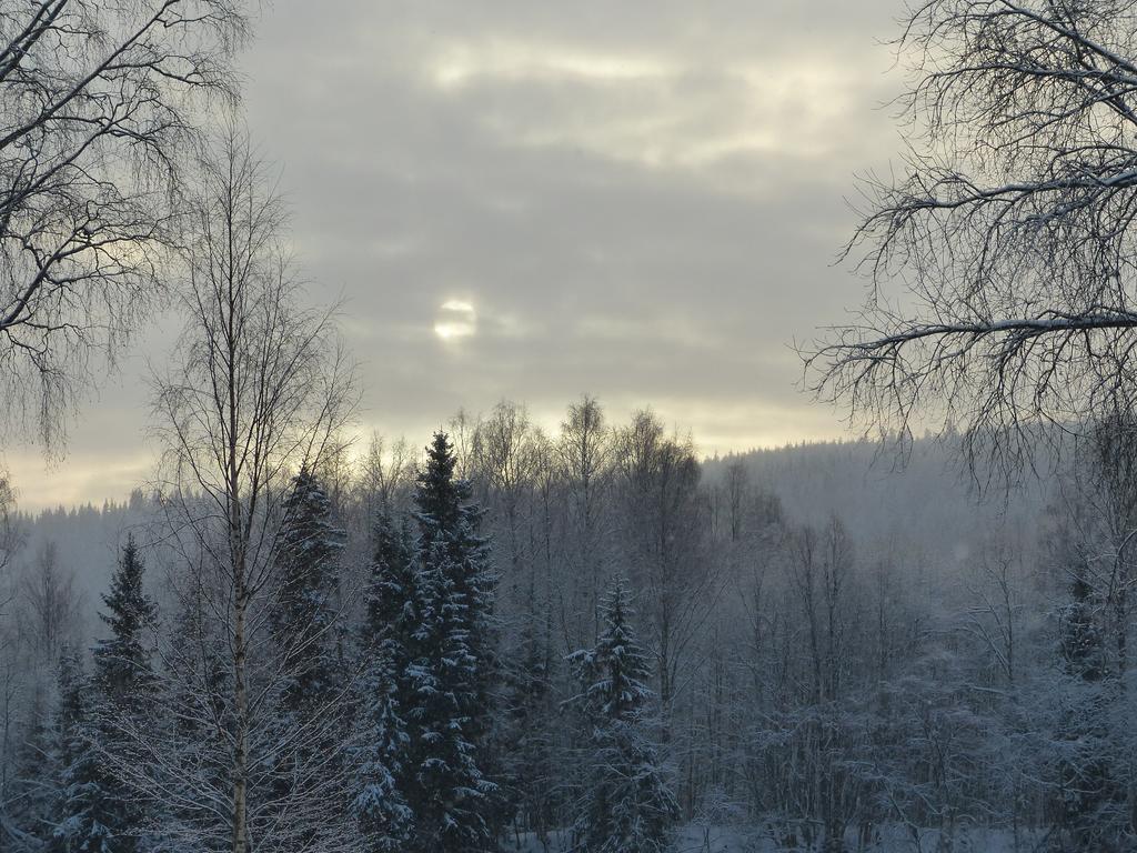 Bjoerkebo Camping Stöllet Esterno foto