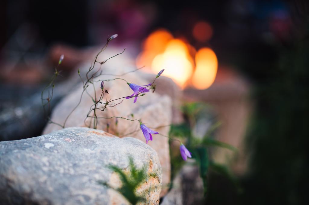 Bjoerkebo Camping Stöllet Esterno foto