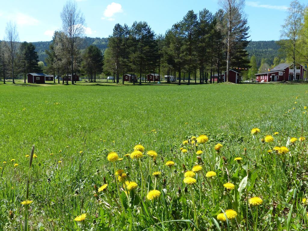 Bjoerkebo Camping Stöllet Esterno foto