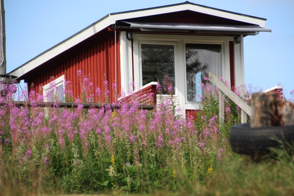Bjoerkebo Camping Stöllet Esterno foto